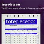 what is a placepot bet